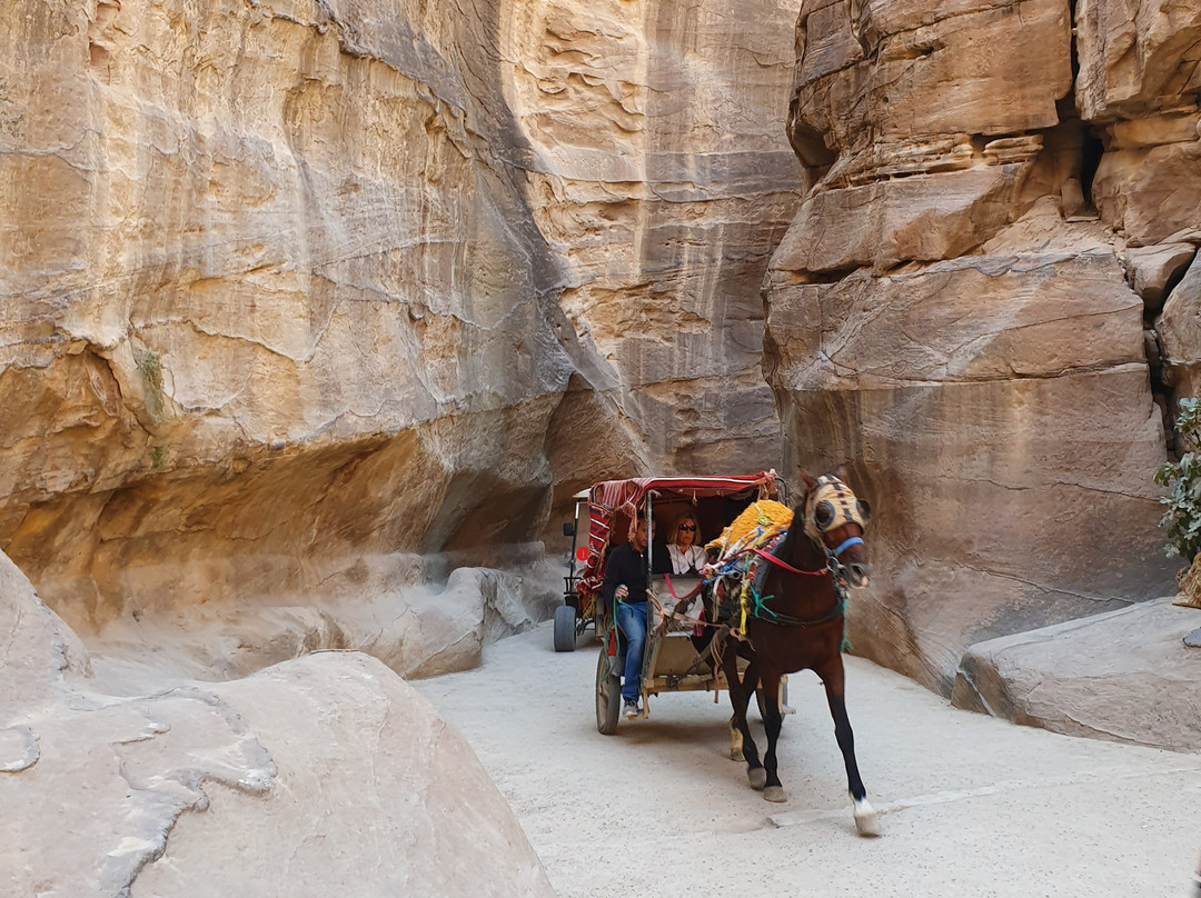 Siq-佩特拉必去景点