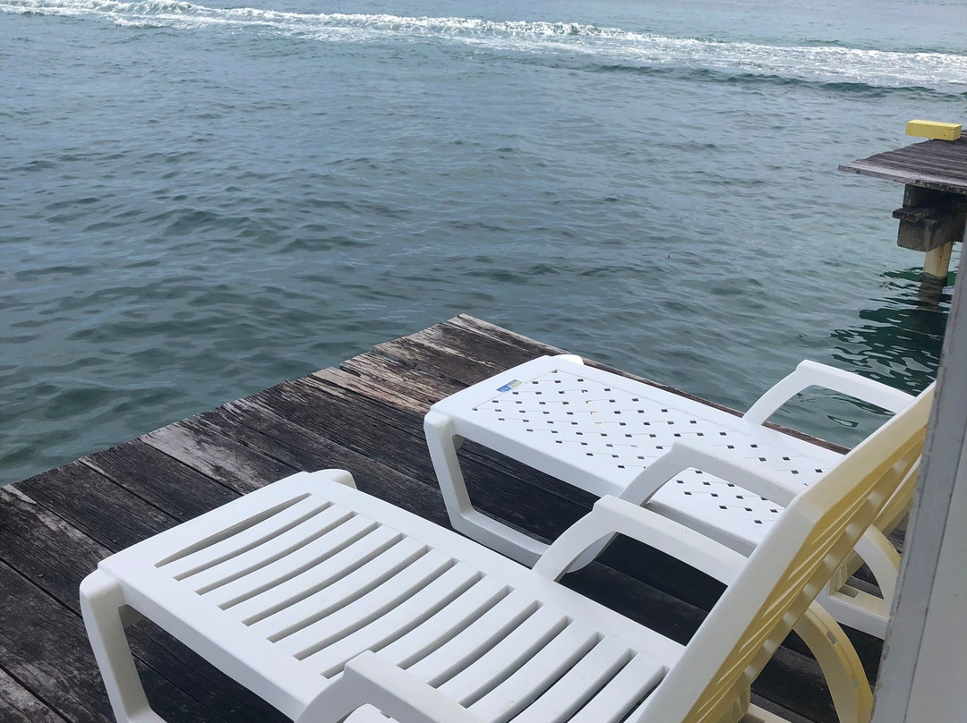 El Faro del Colibri主图