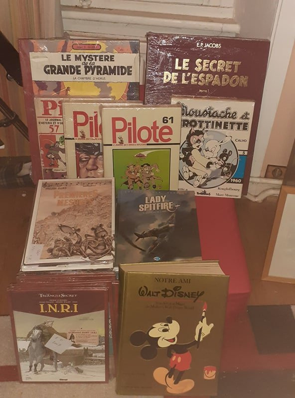 Librairie la Yamouna-瓦讷必去景点