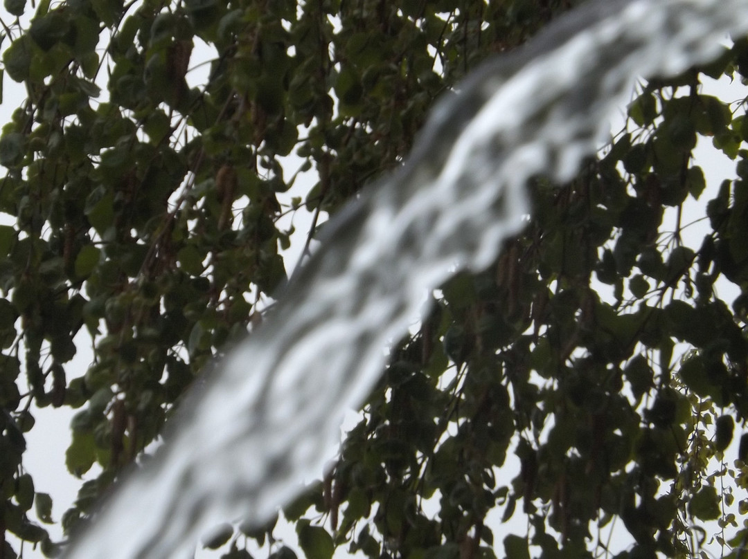 Parque de Agua Nevados de Chillan-Termas de Chillan必去景点