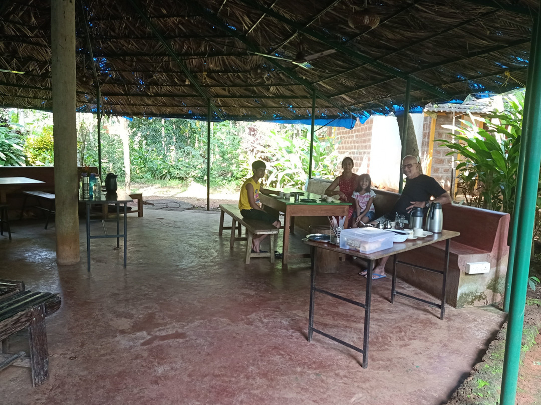 Dudhsagar Plantation-Mollem National Park必去景点