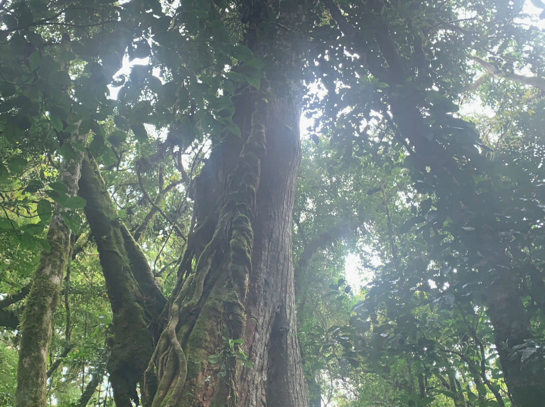 Nature Kingdom景点图片