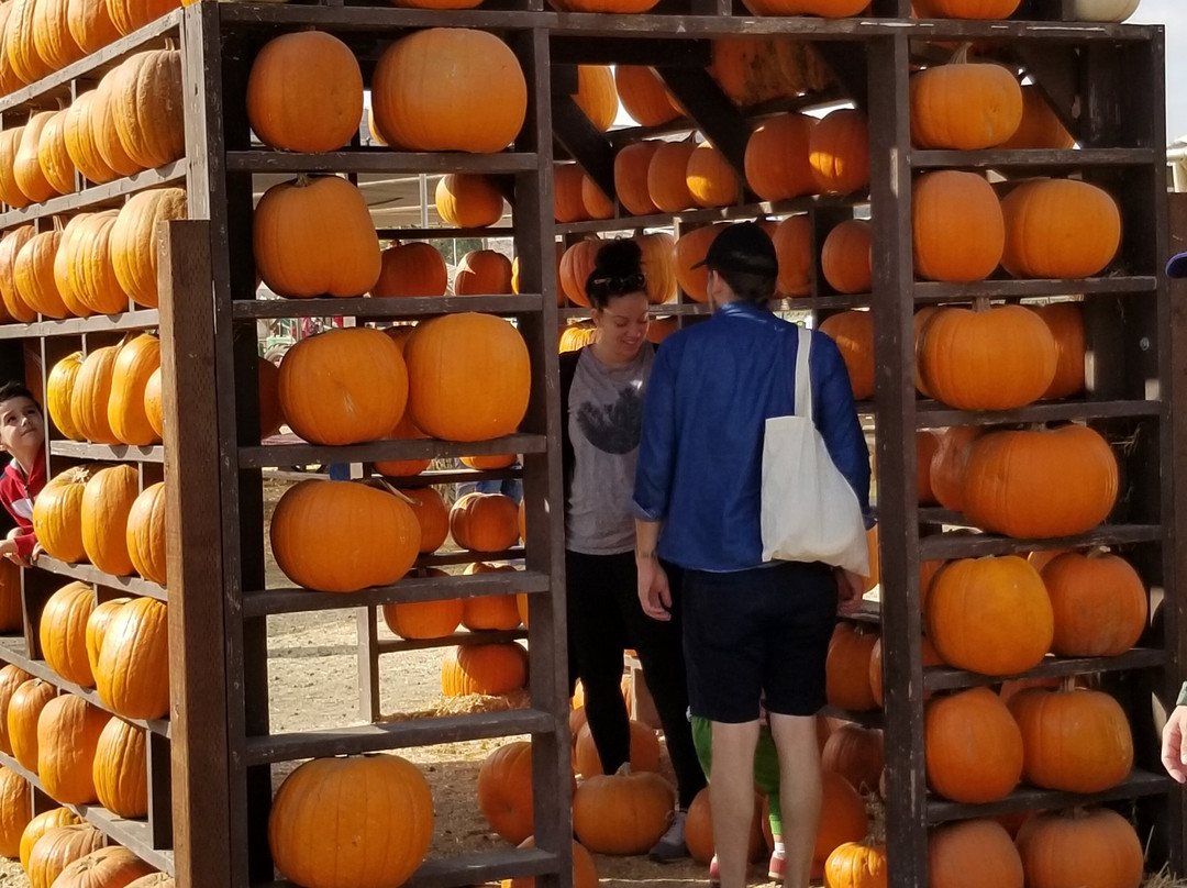 Underwood Family Farms - Moorpark-Moorpark必去景点