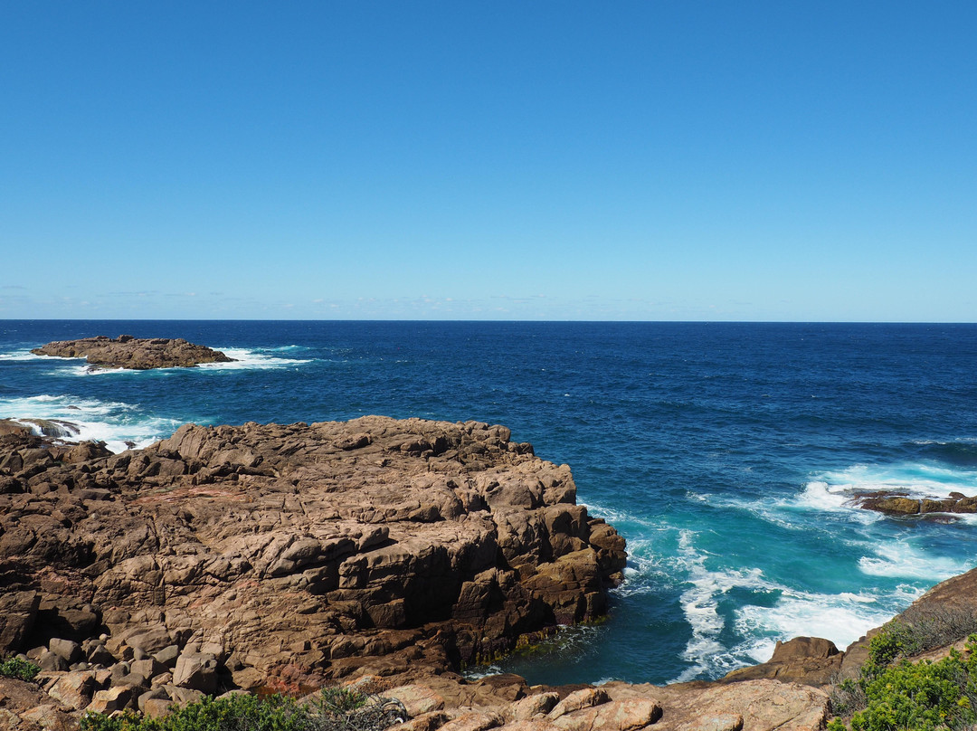Tomaree Coastal Adventures-史蒂芬斯港必去景点