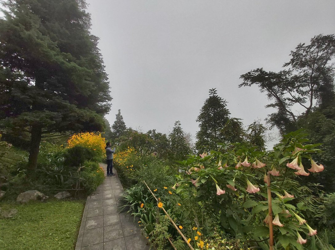 Namchi Ropeway-Namchi必去景点