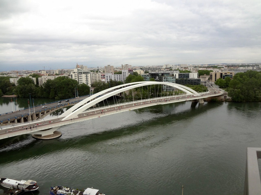 Pont Raymond Barre景点图片