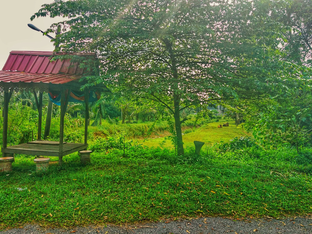 OYO 89419 Riverside Greenery Inn主图