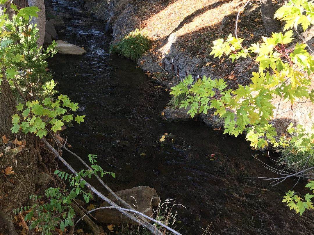 Hi-Lo Motel & RV Park主图