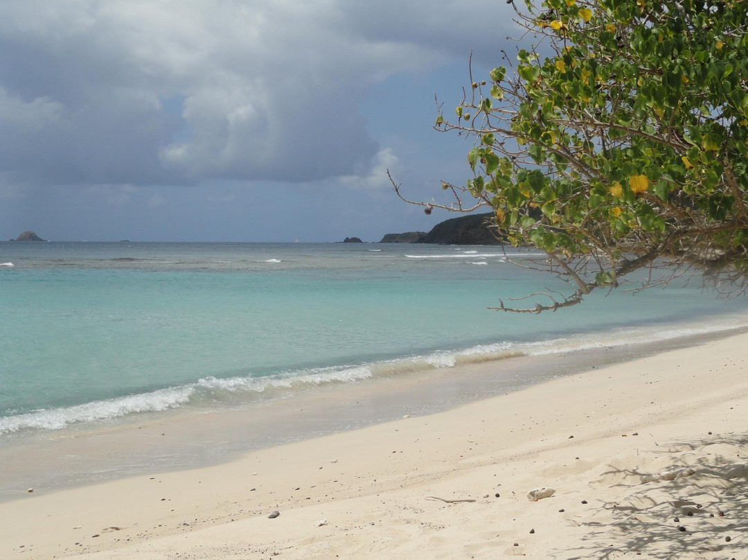 Playa Carlos Rosario