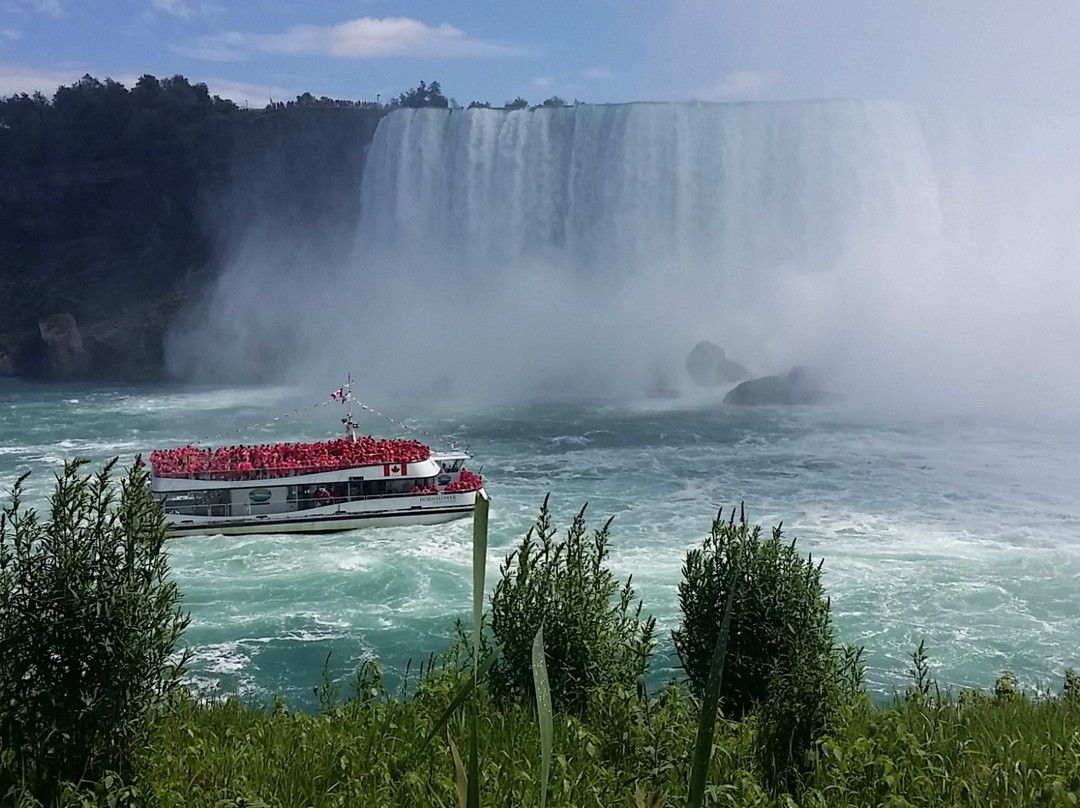 Scenic Tours of Niagara景点图片