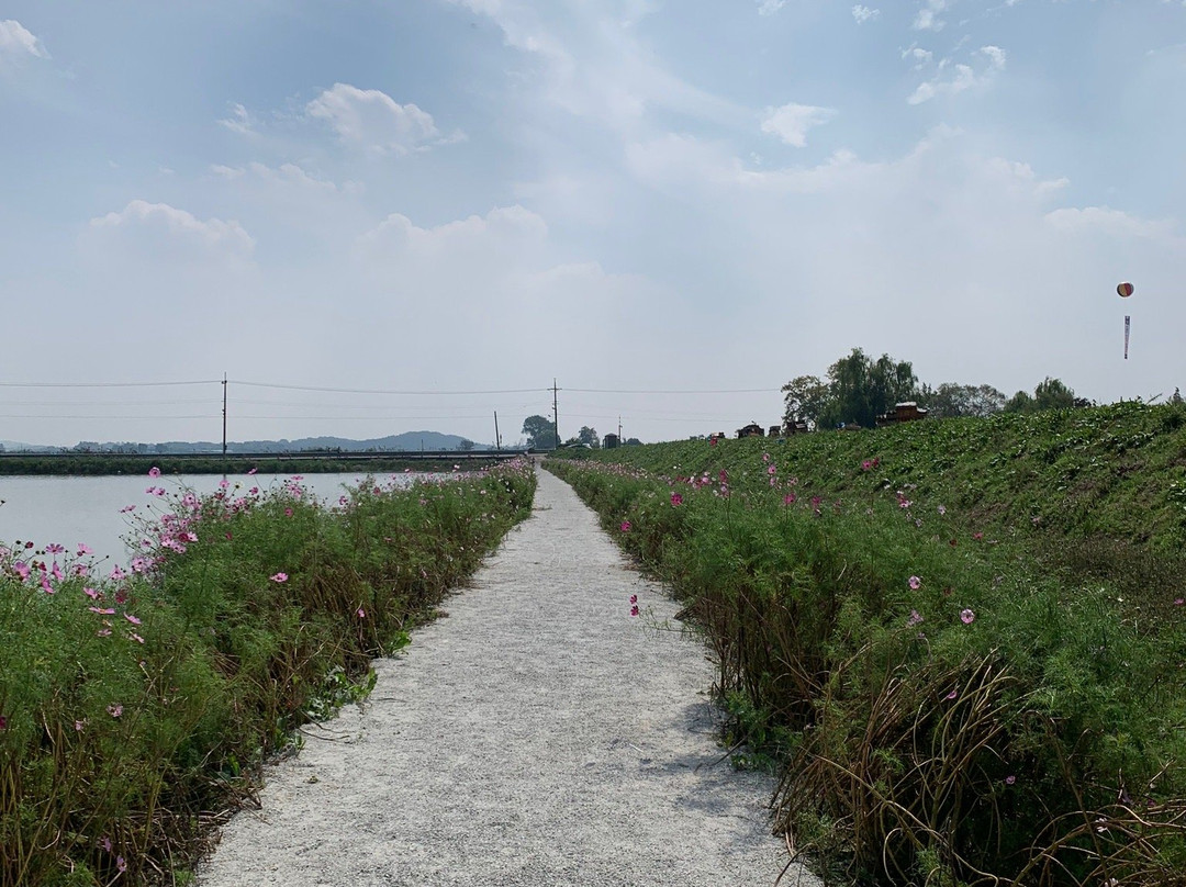 Gimje Horizon Festival-金堤市必去景点