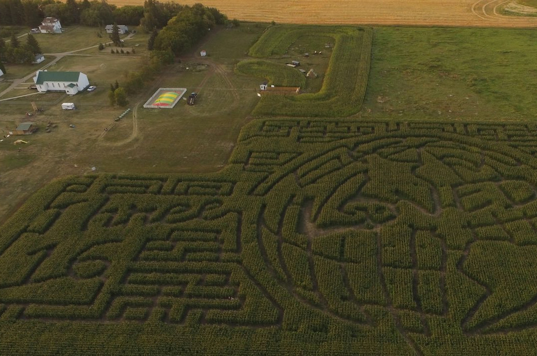 Hague旅游景点-Youth Farm Corn Maze