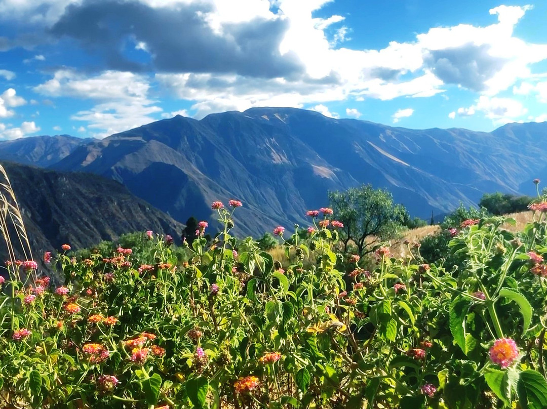 Alturuna Lodge主图