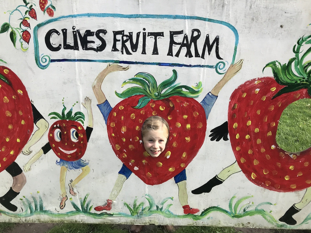 Clive's Fruit Farm景点图片