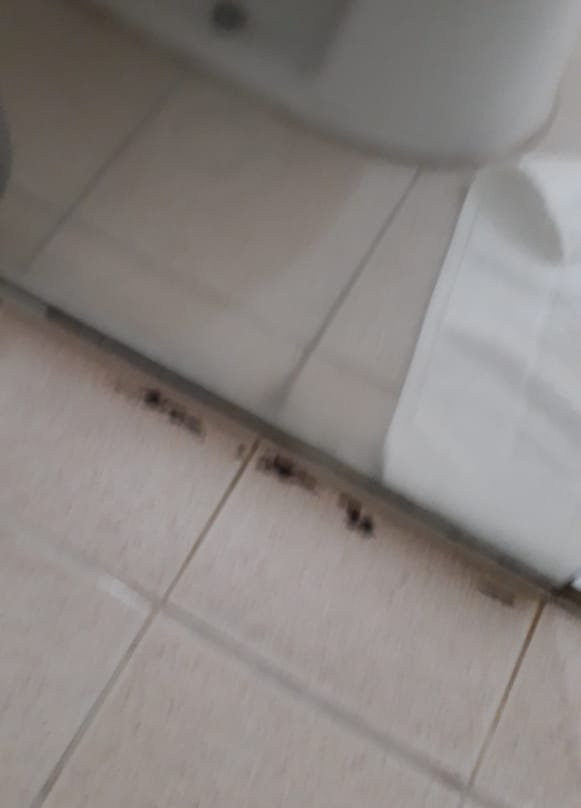 Blue Tree Towers All Suites Santo André主图