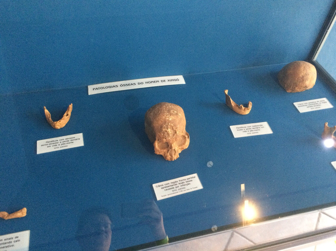 Museu de Arqueologia de Xingó-Caninde de Sao Francisco必去景点