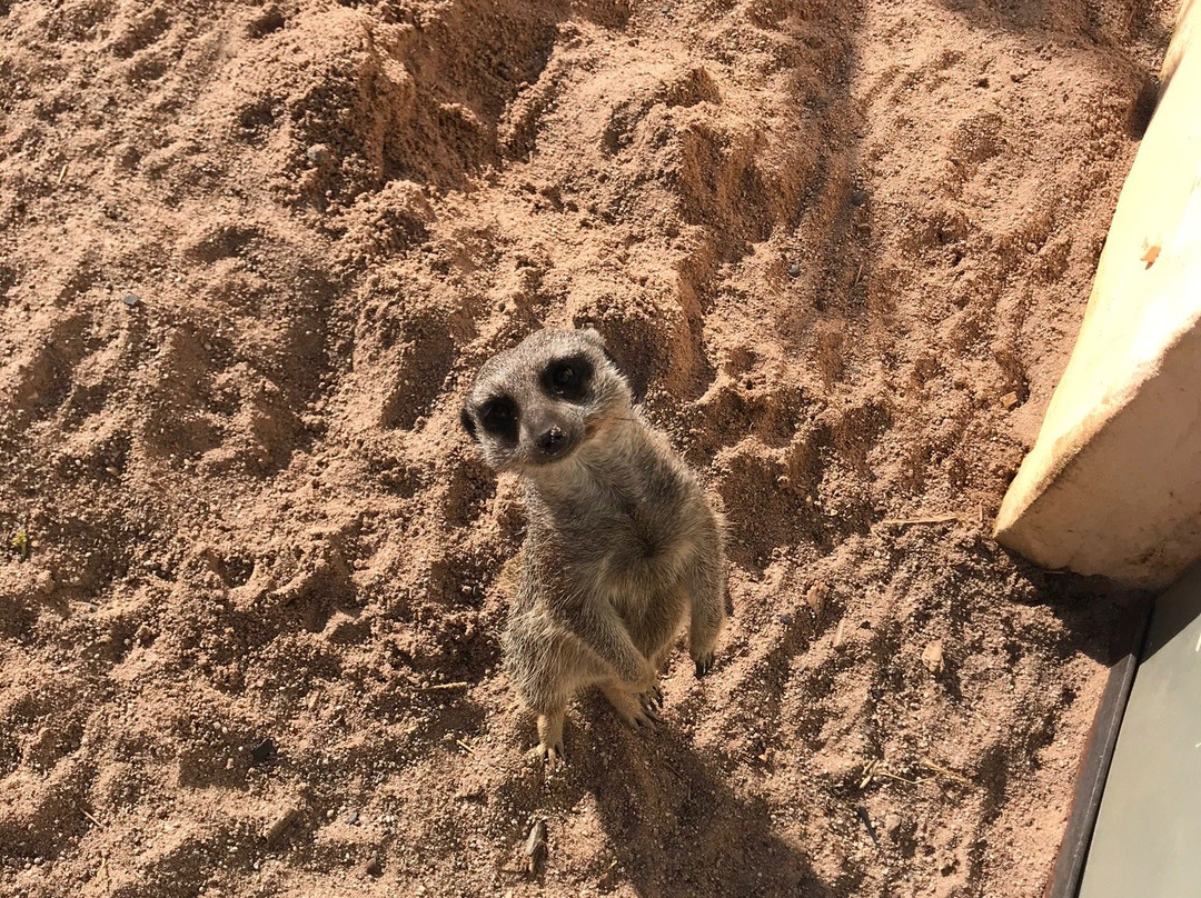 Erlebnispark Memleben-Memleben必去景点