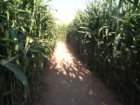 The Maize at The Pumpkin Patch-波特兰必去景点