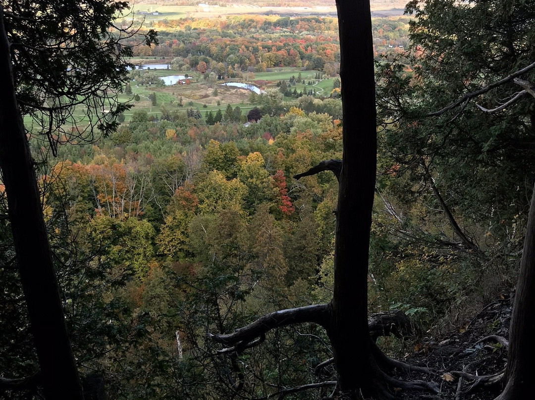 Mount Nemo Conservation Area景点图片