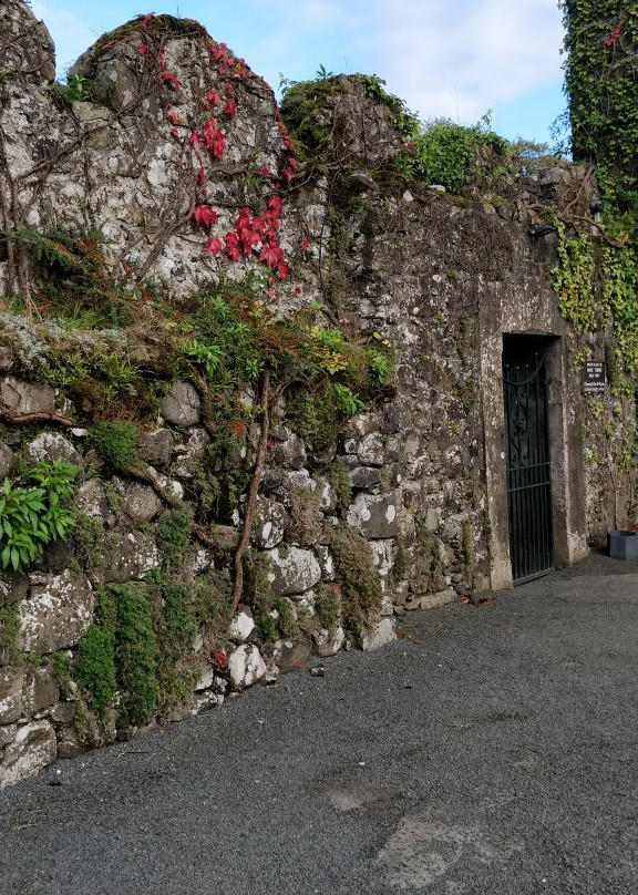 The Galgorm Castle Fairy Trail-Ballymena必去景点