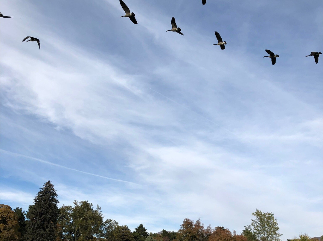 自由公园-盐湖城必去景点