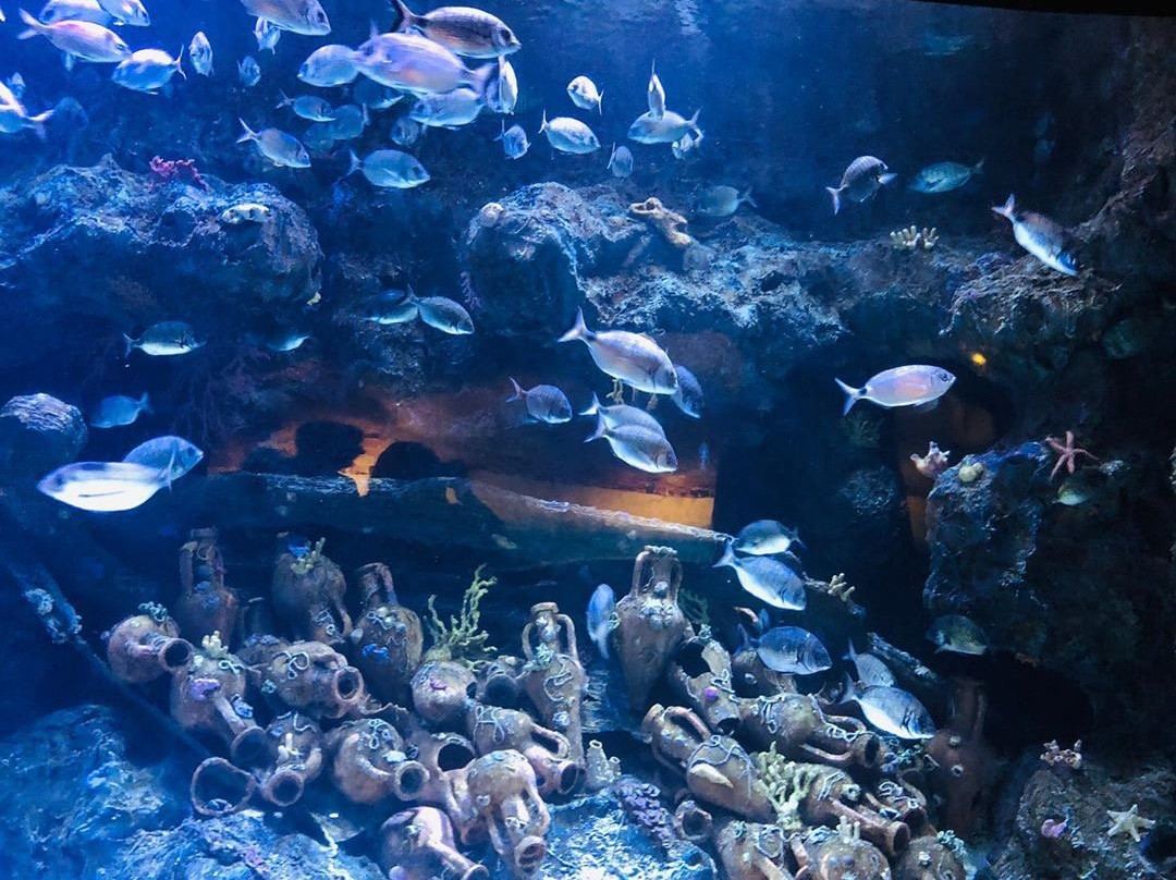 Antalya Aquarium景点图片