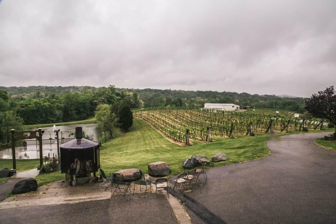 Cincy Wine Wagon景点图片