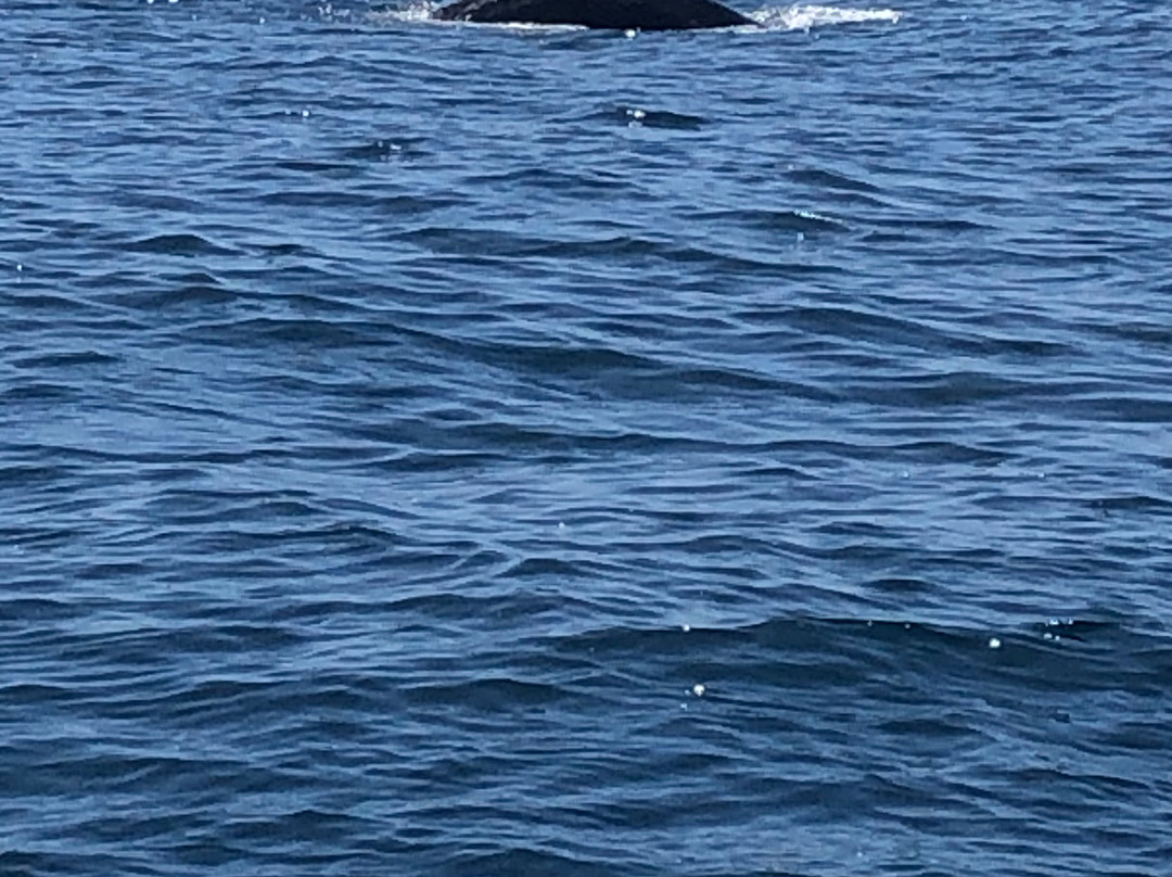 Adventure Rafting-穆鲁拉巴必去景点