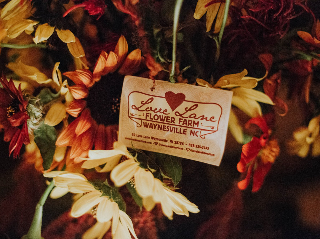 韦恩斯维尔旅游景点-Love Lane Flower Farm