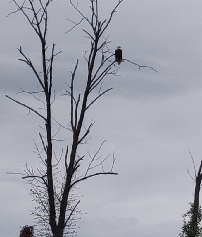 Bladensburg Waterfront Park-Bladensburg必去景点