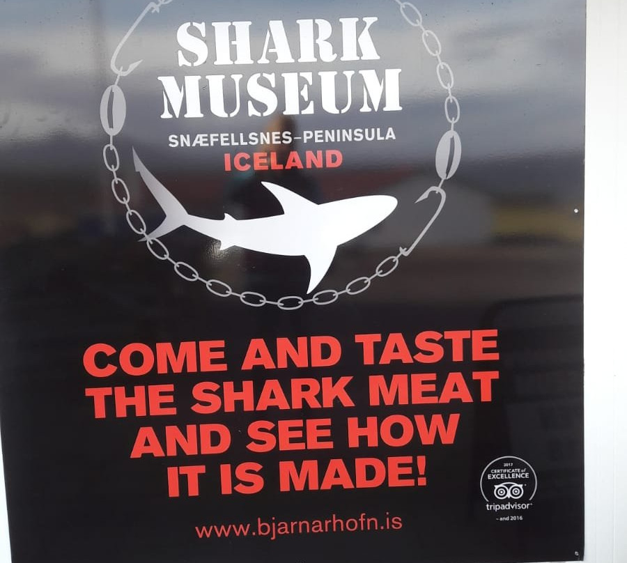Bjarnarhofn Shark Museum景点图片