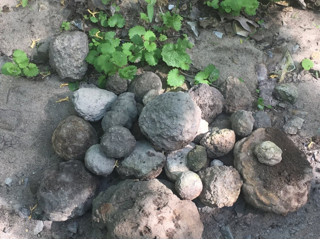 Wildcat Springs Park