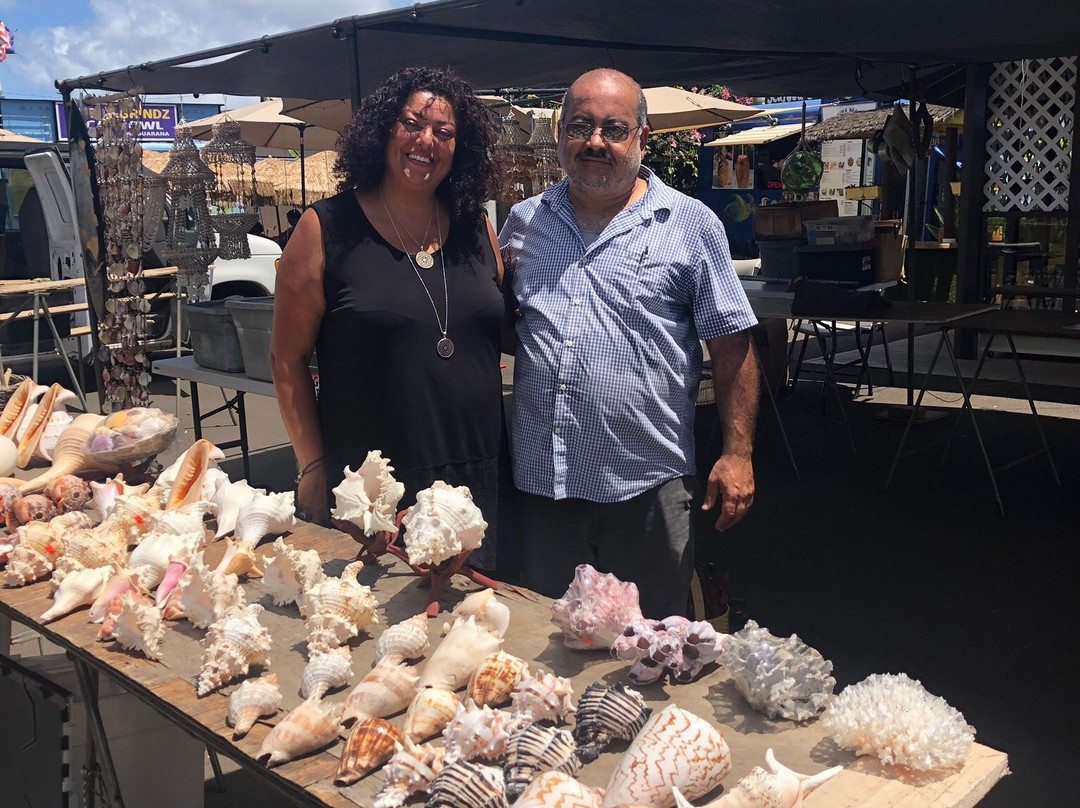 Haleiwa Shell Stand-哈雷瓦必去景点