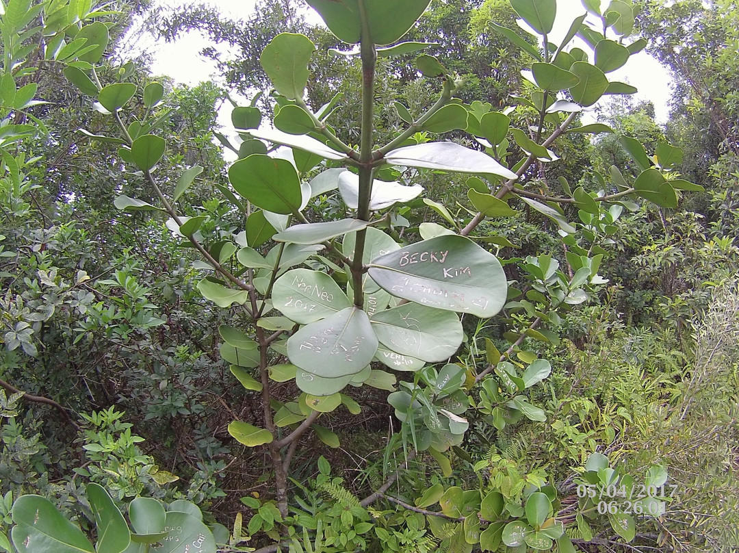 Hau'ula Loop Trail-哈乌乌拉必去景点