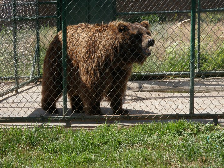 Rocky Mountain Wildlife Park景点图片