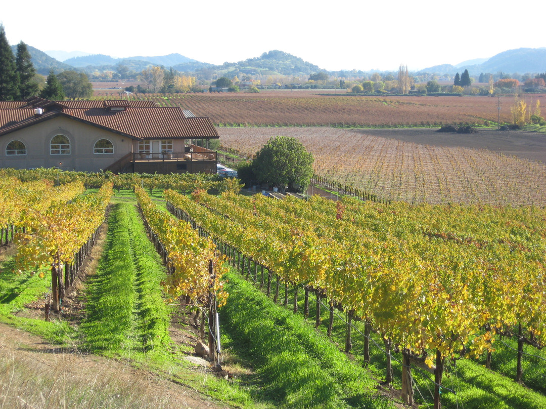 纳帕谷乡村酒庄之旅-纳帕必去景点