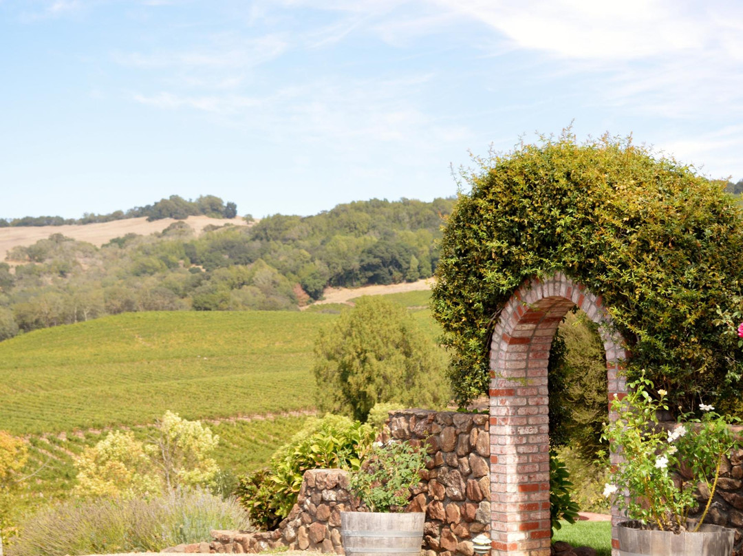 North Bay Winery Tours-Rohnert Park必去景点