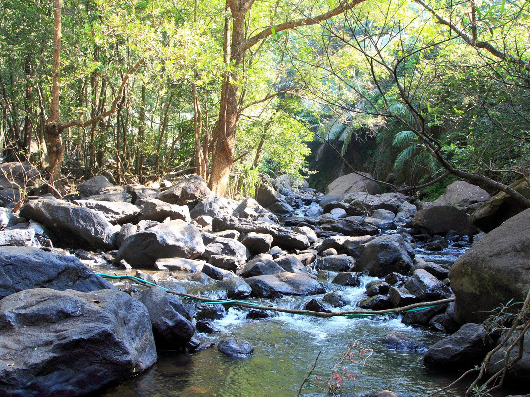 Bhagwan Mahavir Wildlife Sanctuary-South Goa District必去景点