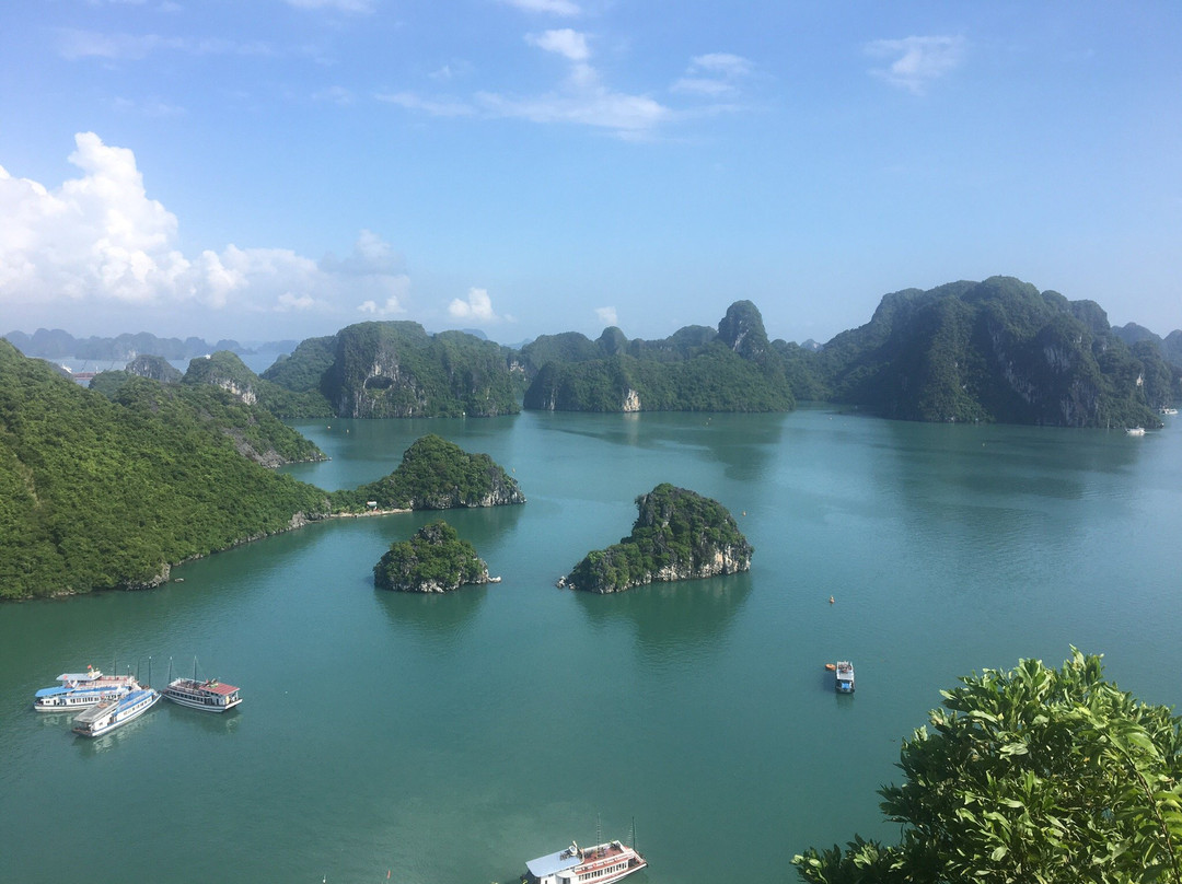 Alova Cruises景点图片
