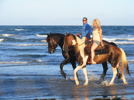 Horses On The Beach: Corpus Christi-科珀斯克里斯蒂市必去景点