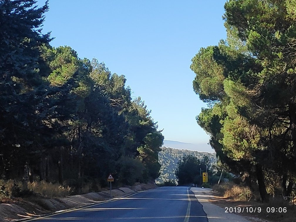 Yaar Haayalim - Deer Forest-Merom Golan必去景点