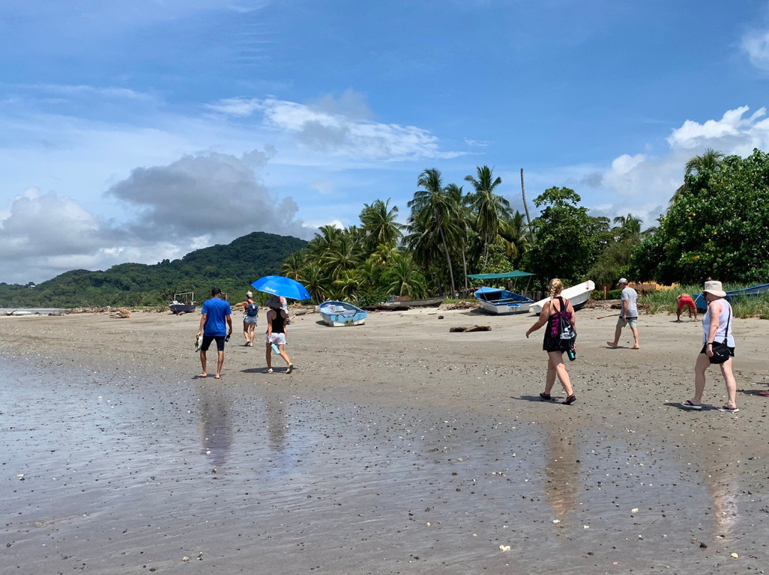 Costa Rica Monkey Tours -  Day Tours景点图片