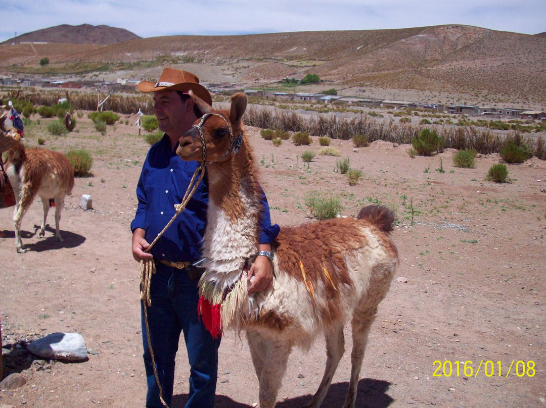 Paseo Con Llamas景点图片