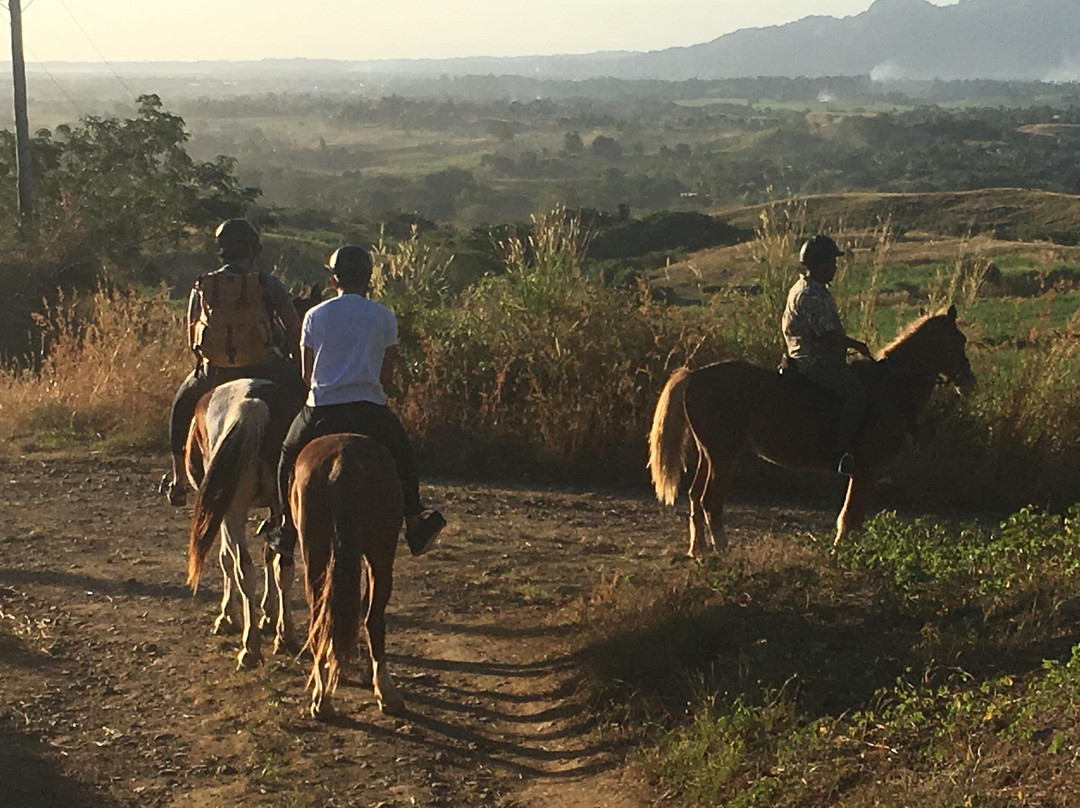 Fiji Horse Treks with Total Wellness Fiji-纳迪市必去景点