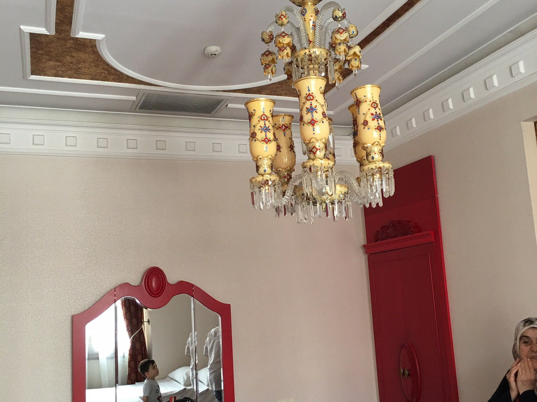 Cankaya Konaklari Hotel主图