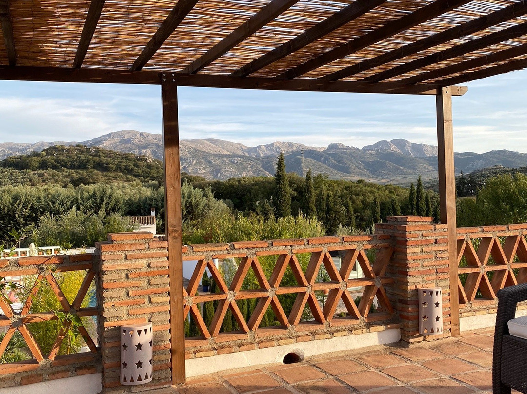 Finca Los Pinos主图