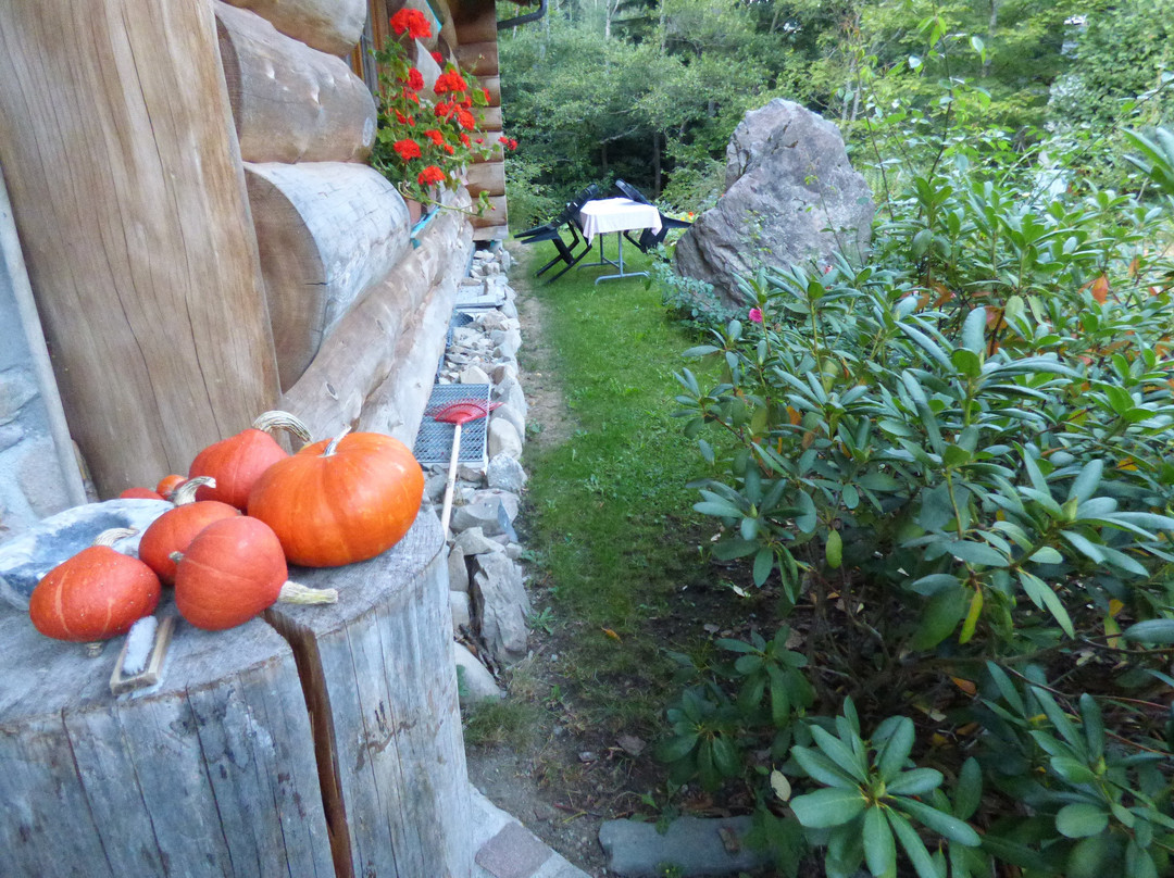 Les Rondins De La Fecht主图