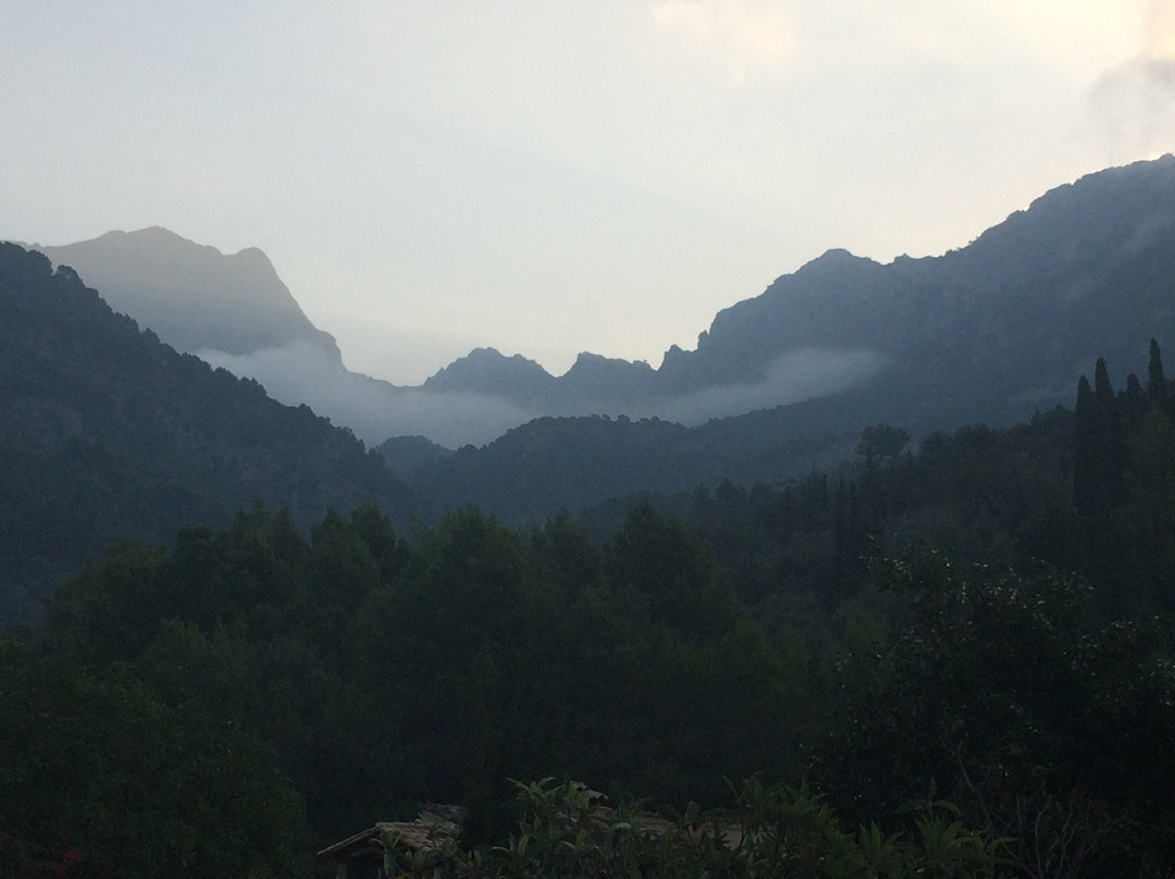 弗纳鲁特斯佩蒂特酒店主图