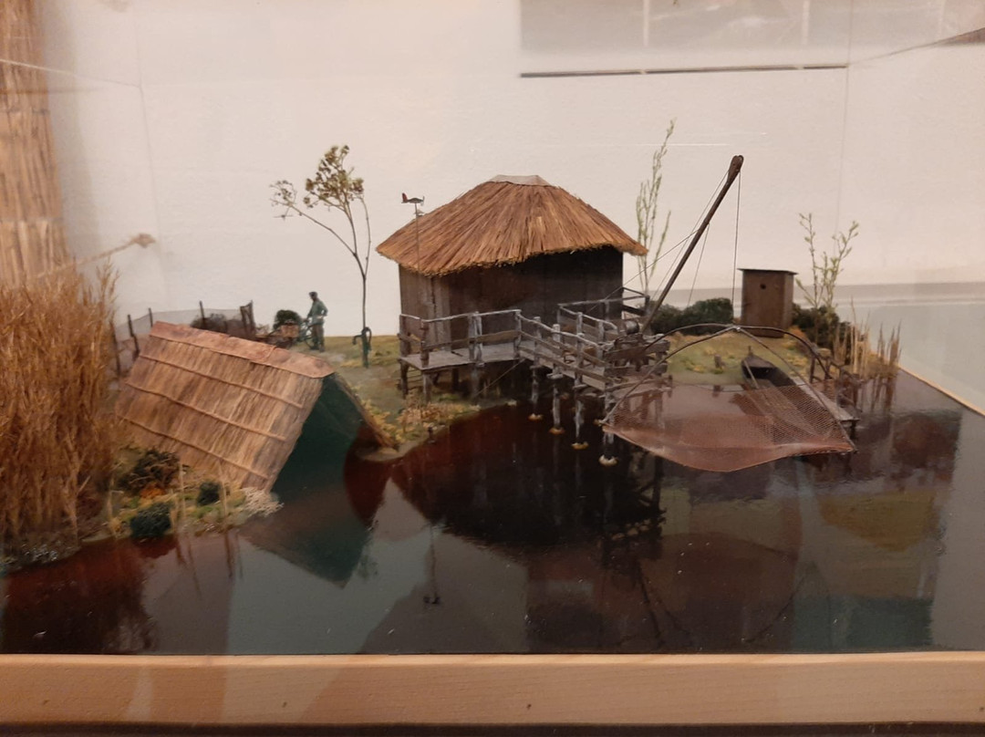 Ecomuseo delle Erbe Palustri景点图片