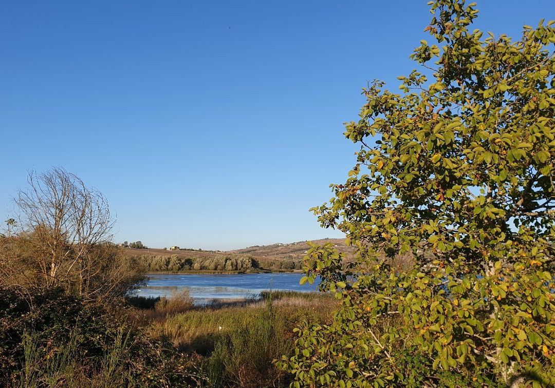 Pantano di Pignola景点图片